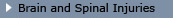 brain and spine injury button