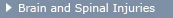 brain and spine injury button